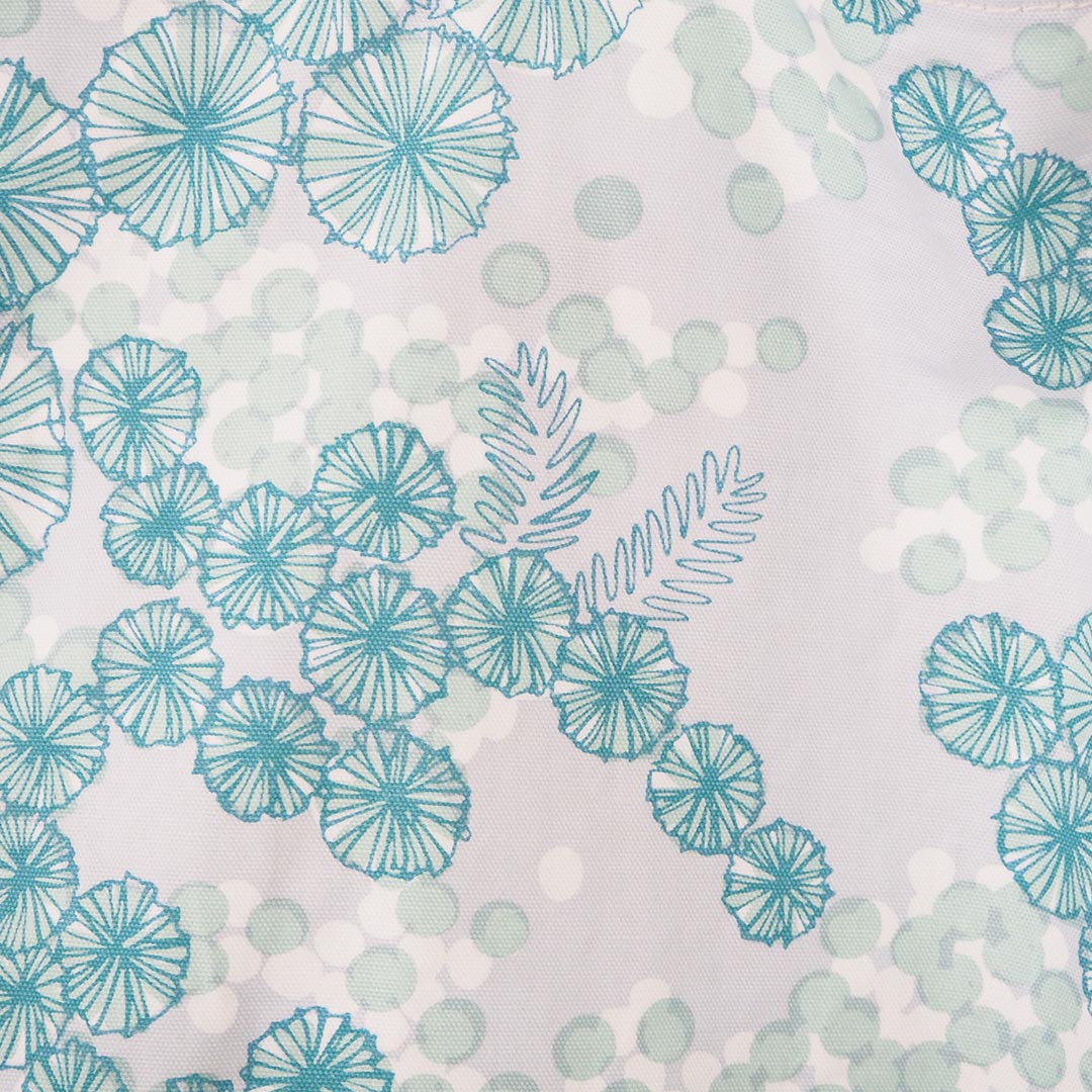 ������ΥХå�/�ߥ⥶/C�忧