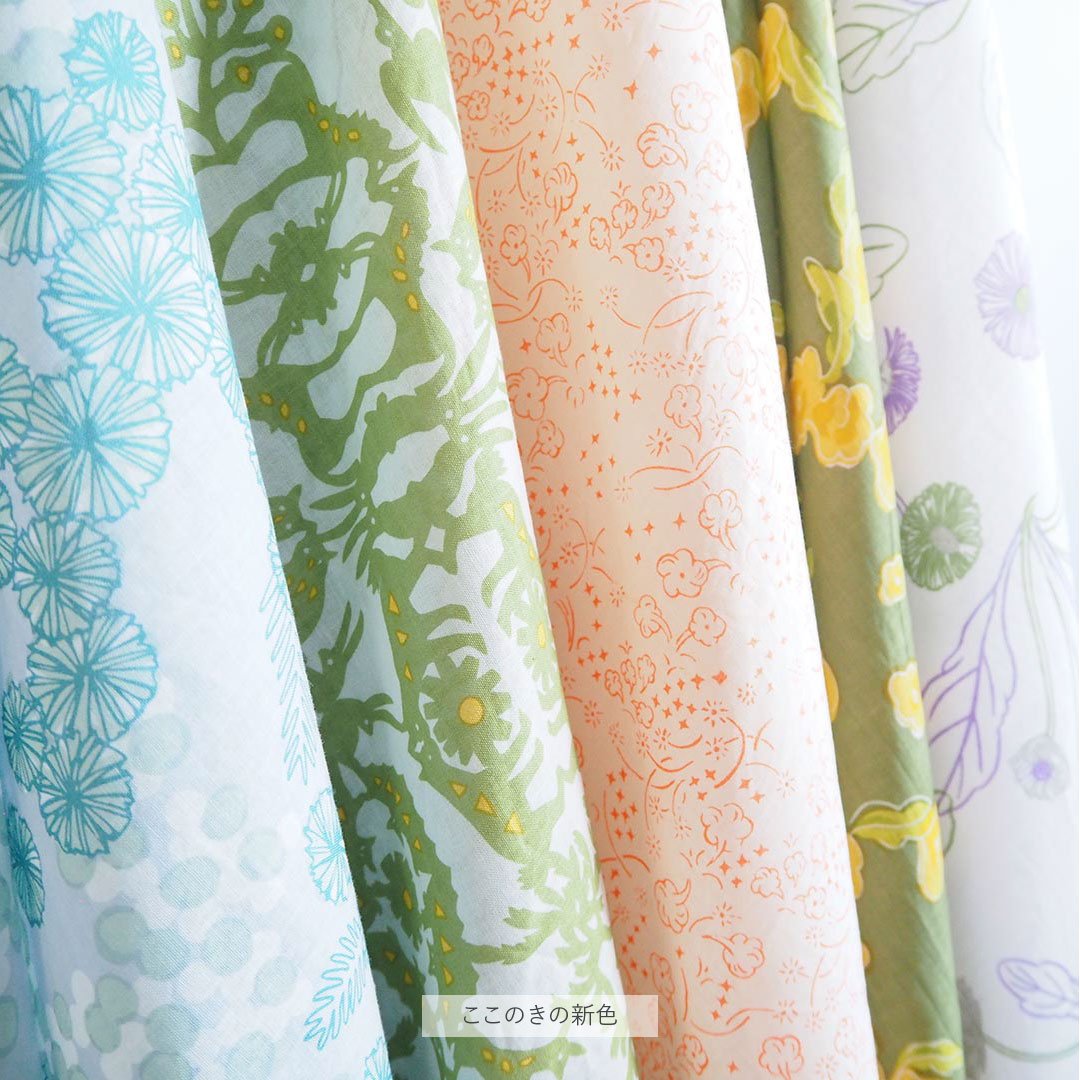 ������ΥХå�/�ߥ⥶/C�忧