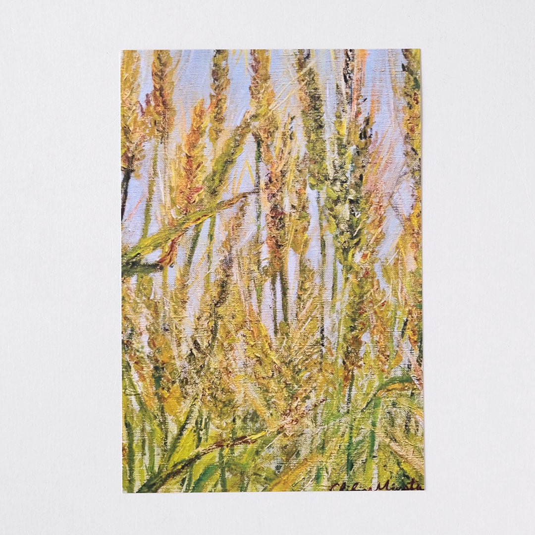 �ݥ��ȥ�����/������