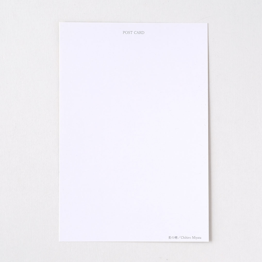 �ݥ��ȥ�����/������