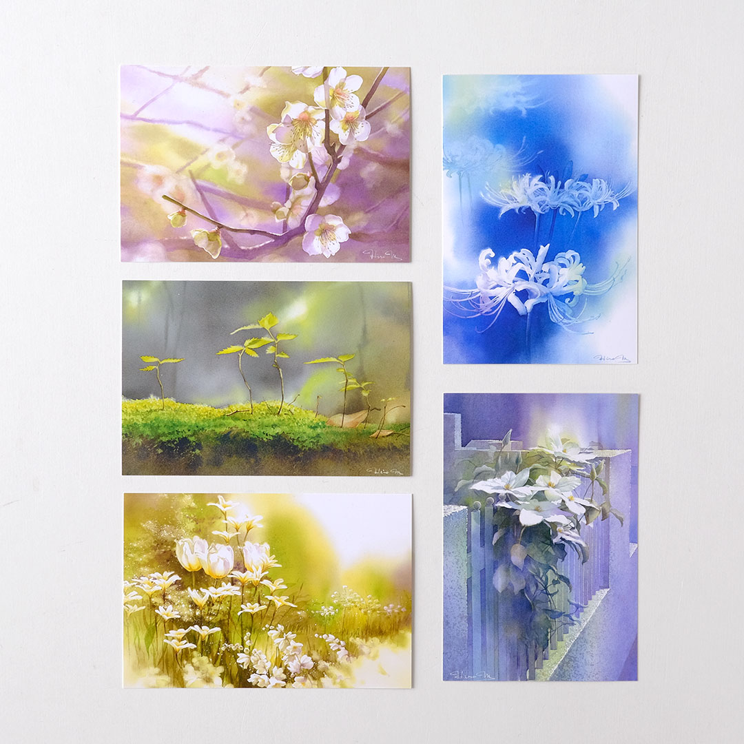 �ݥ��ȥ����ɥ��å�/��������