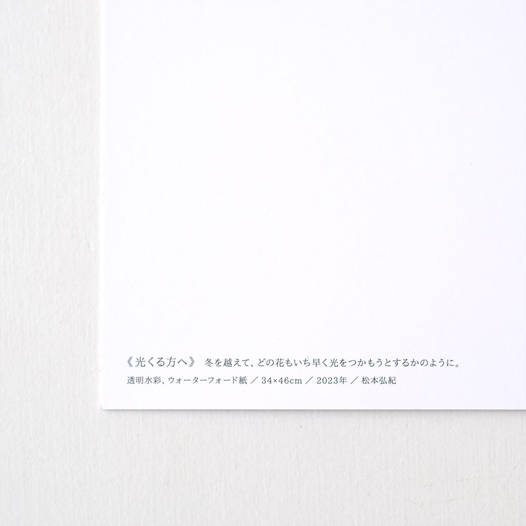 �ݥ��ȥ����ɥ��å�/��������