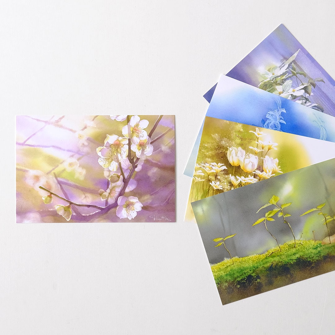 �ݥ��ȥ����ɥ��å�/��������