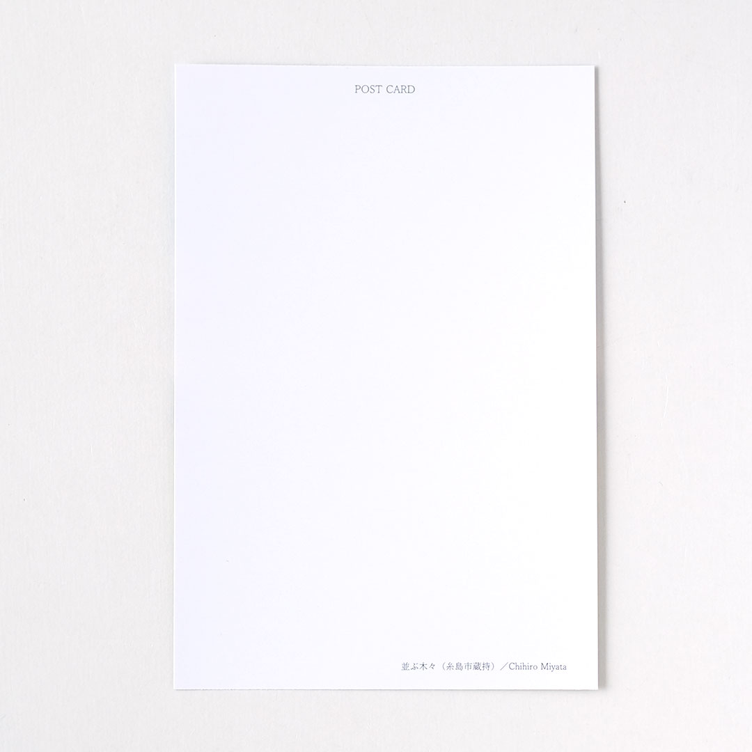 �ݥ��ȥ�����/�¤��ڡ��ʻ����¢����