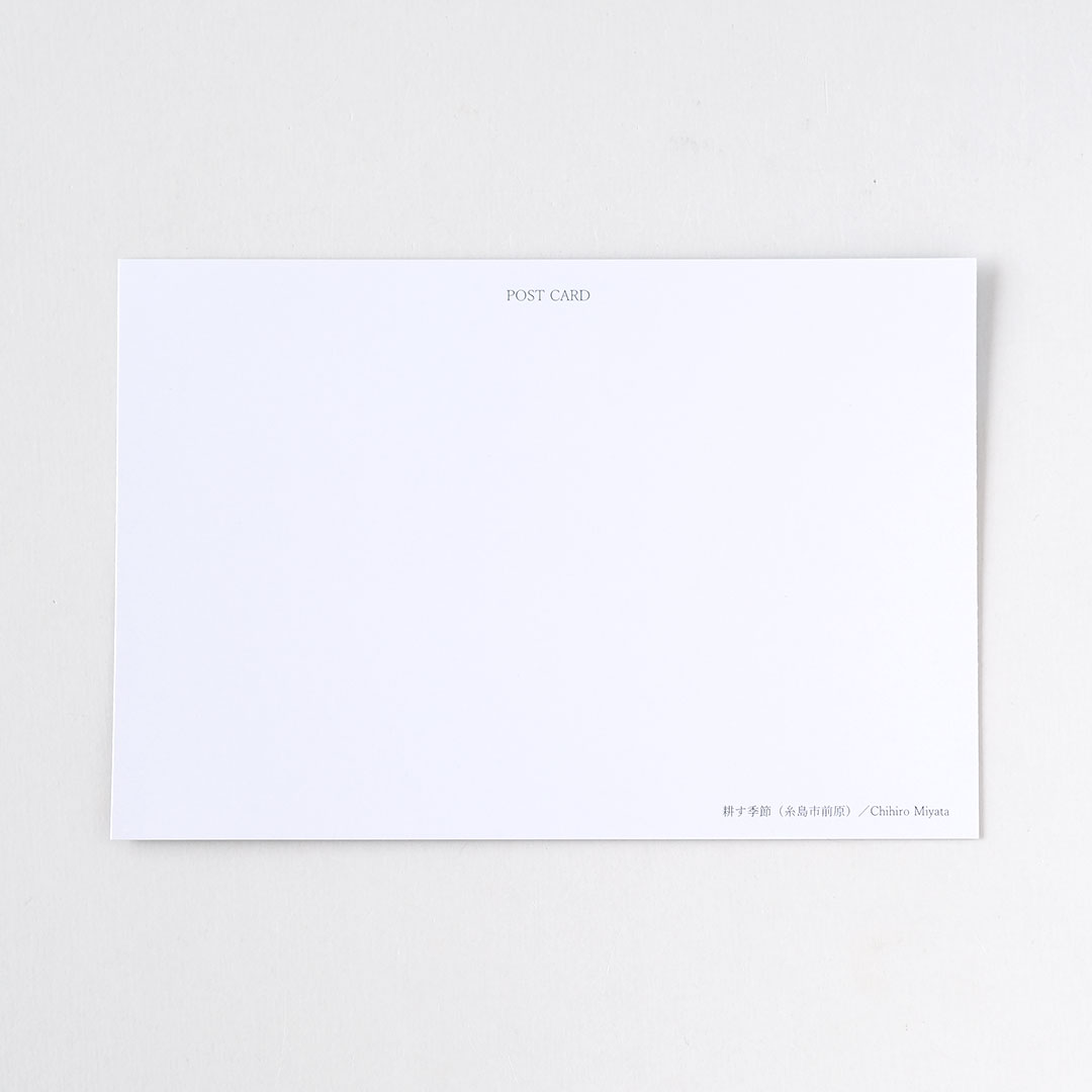 �ݥ��ȥ�����/�̤�����ʻ����������