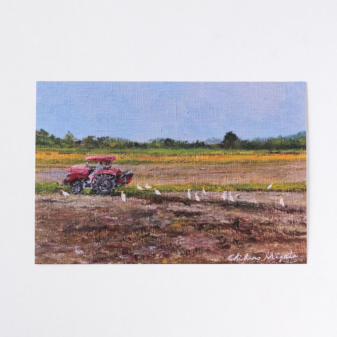 �ݥ��ȥ�����/�̤�����ʻ����������