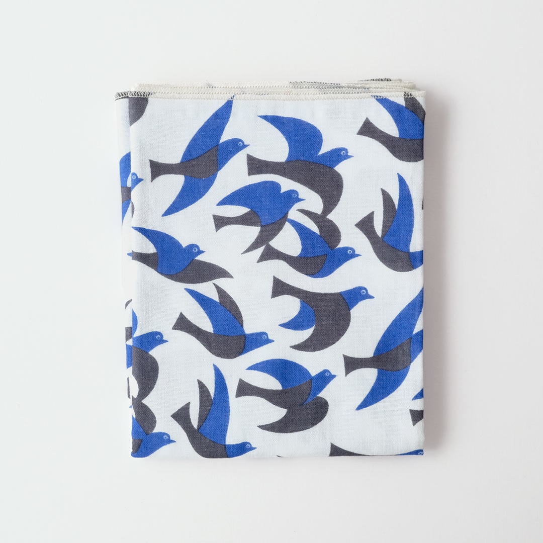 ��̤���������/Ļ/�����