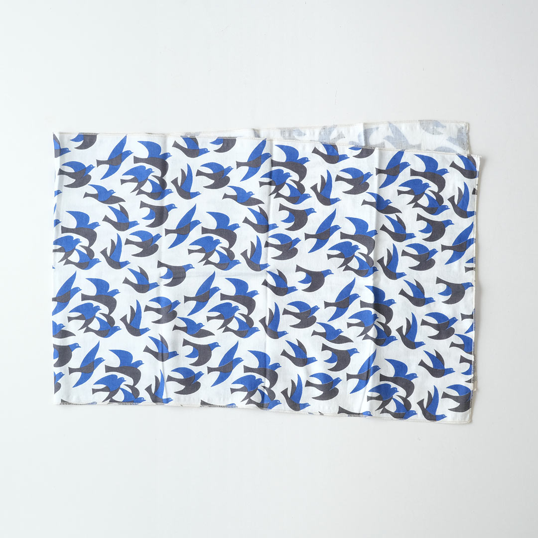 ��̤���������/Ļ/�����