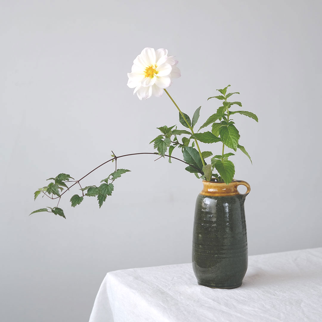 ����åץ�����/����