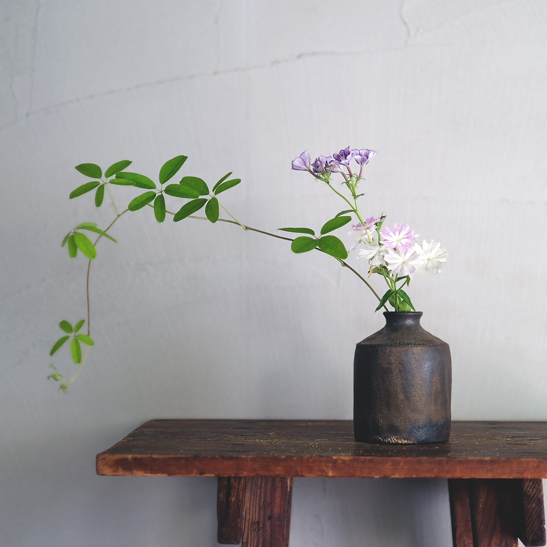 �����/����/��