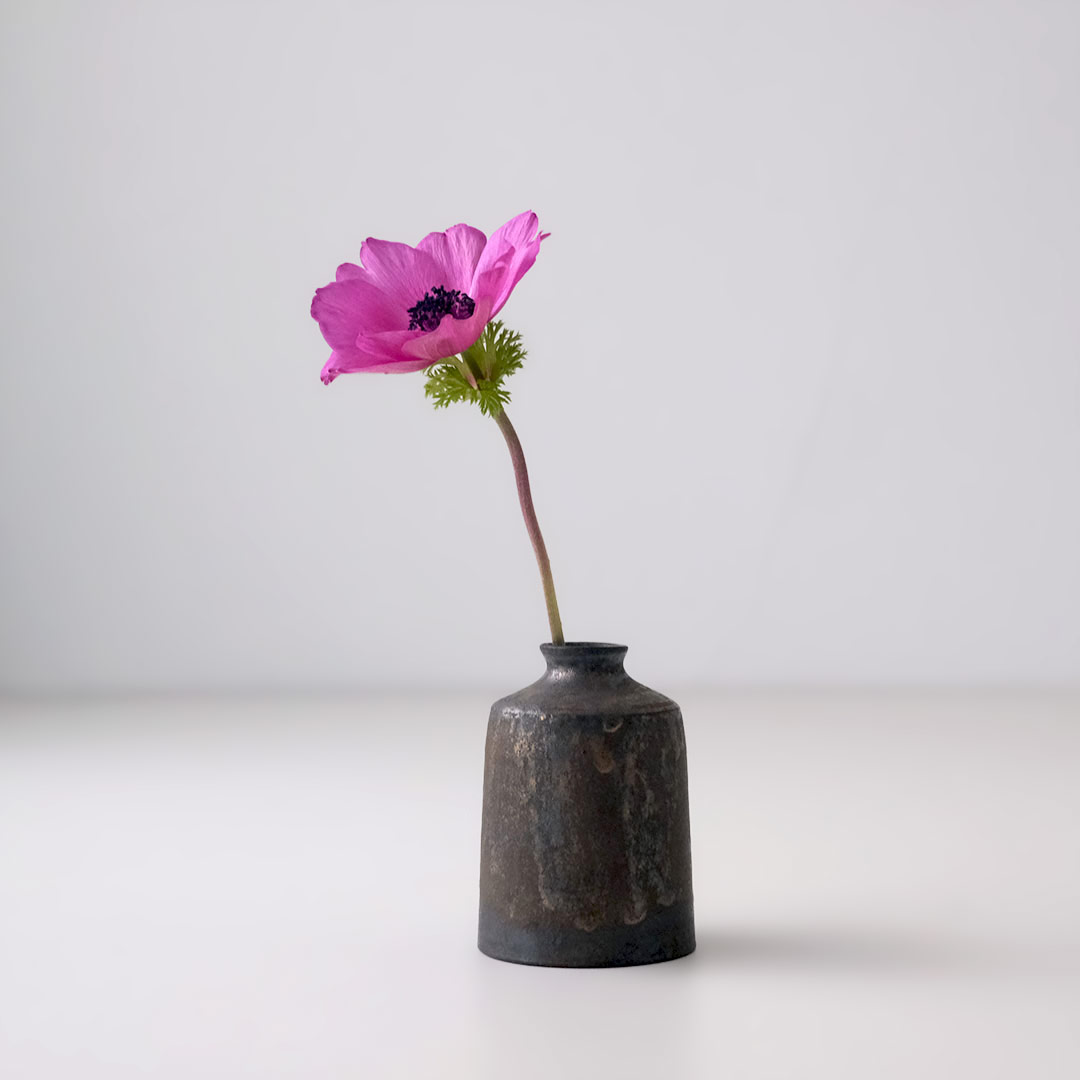 �����/����/��