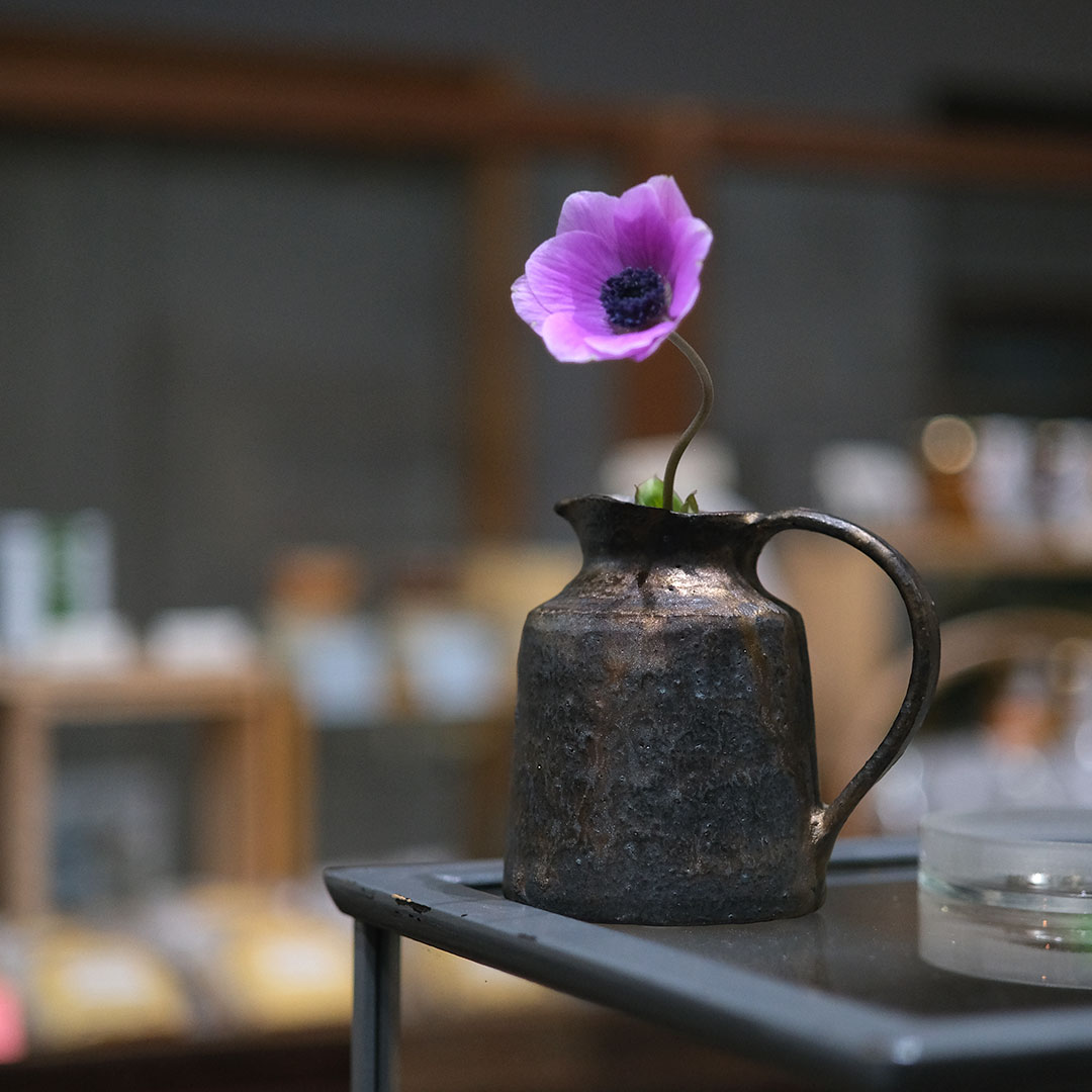 �����/����/�ԥå��㡼/��