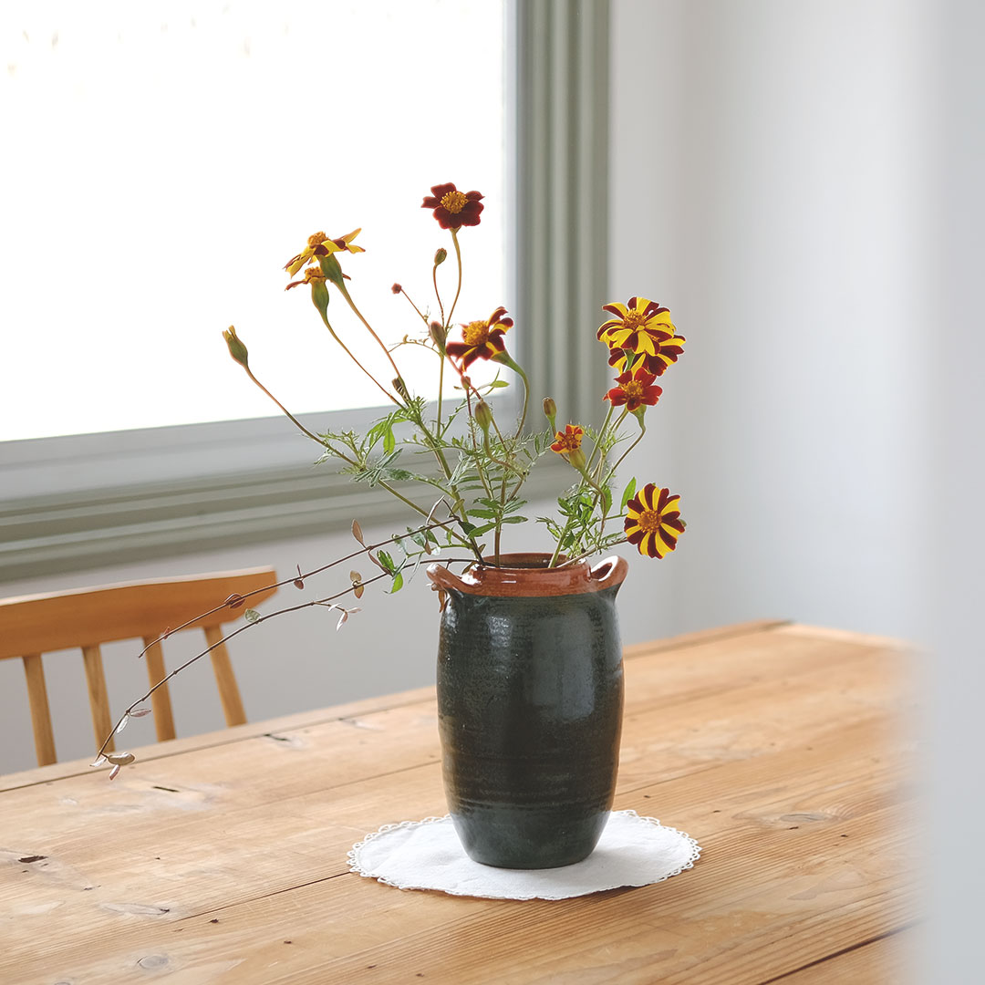 ����åץ�����/����