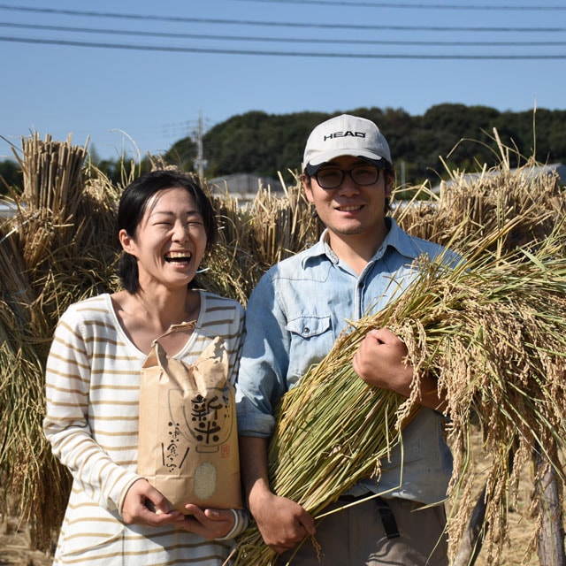 ���£�ǯ�ٻ�/̵��������/10kg