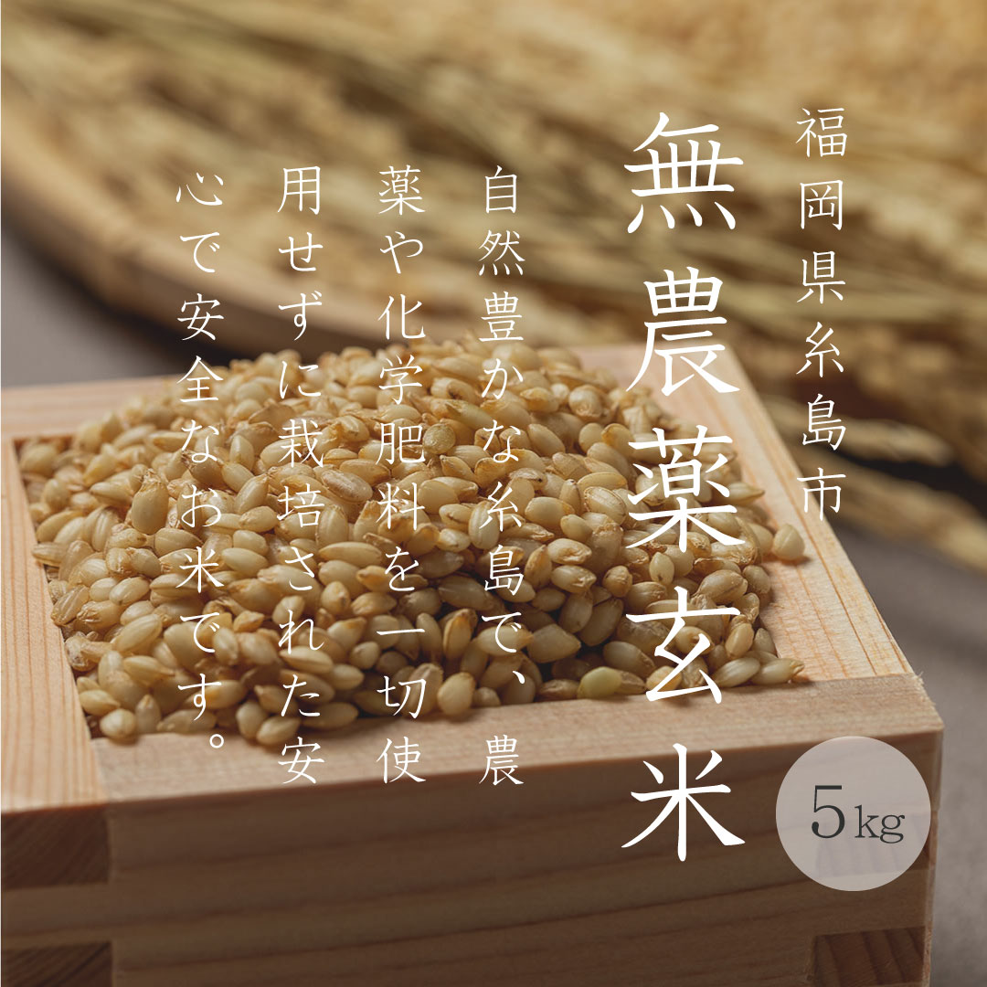 ���£�ǯ�ٻ�/̵��������/5kg