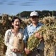 ���£�ǯ�ٻ�/̵��������/5kg