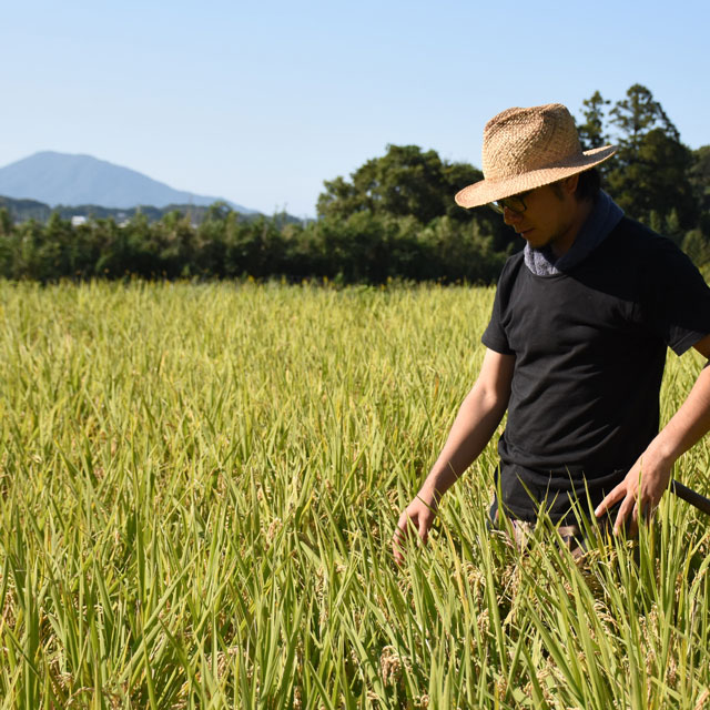 ���£�ǯ�ٻ�/̵��������/10kg