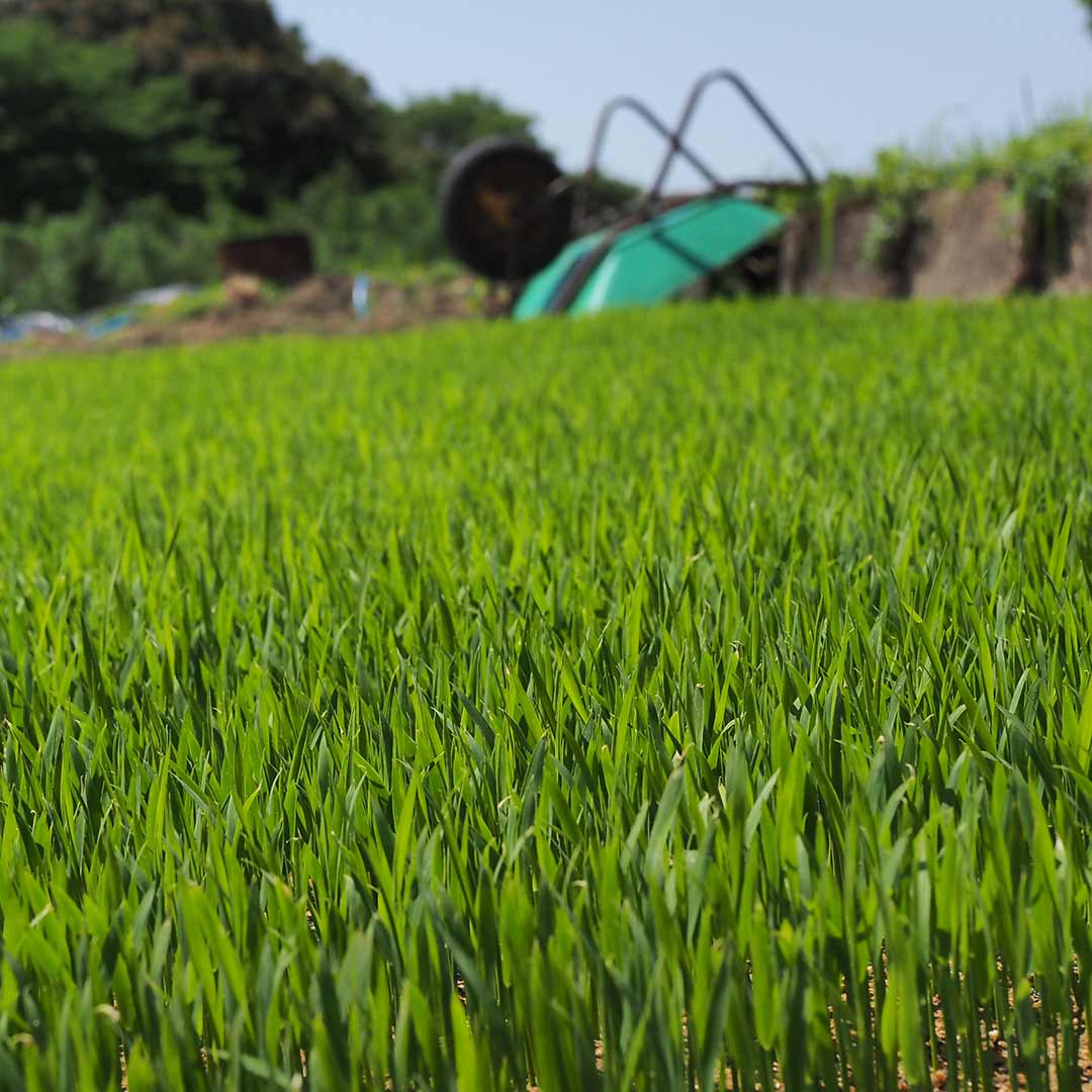 ���£�ǯ�ٻ�/̵��������/10kg