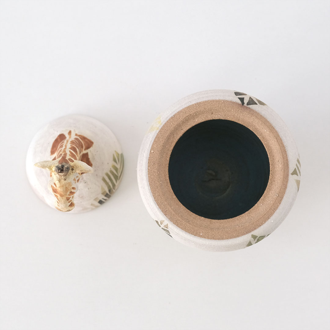 ���Υץ���/�����