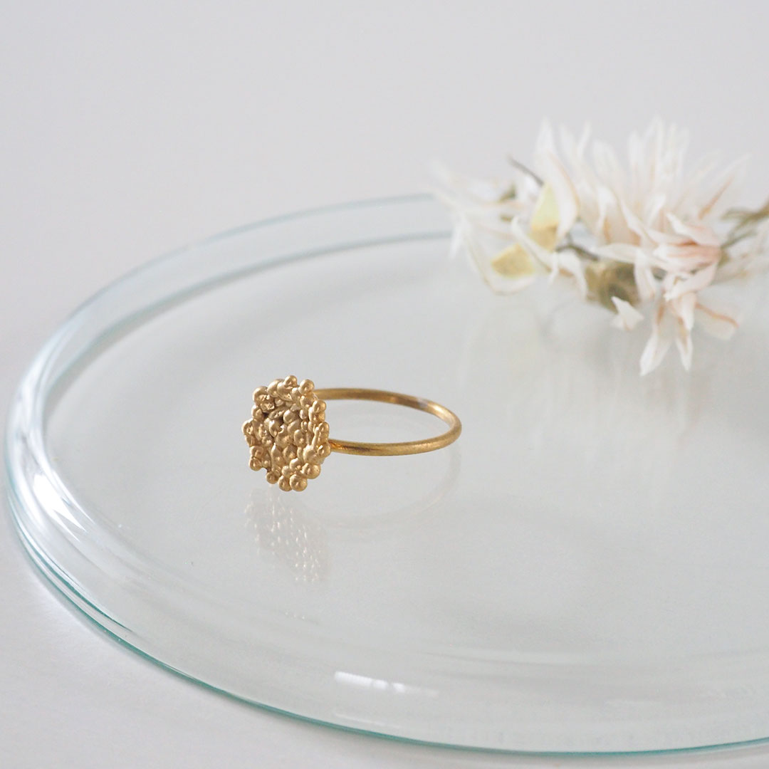 ���/���Ϥ�/��﫡ڼ���������