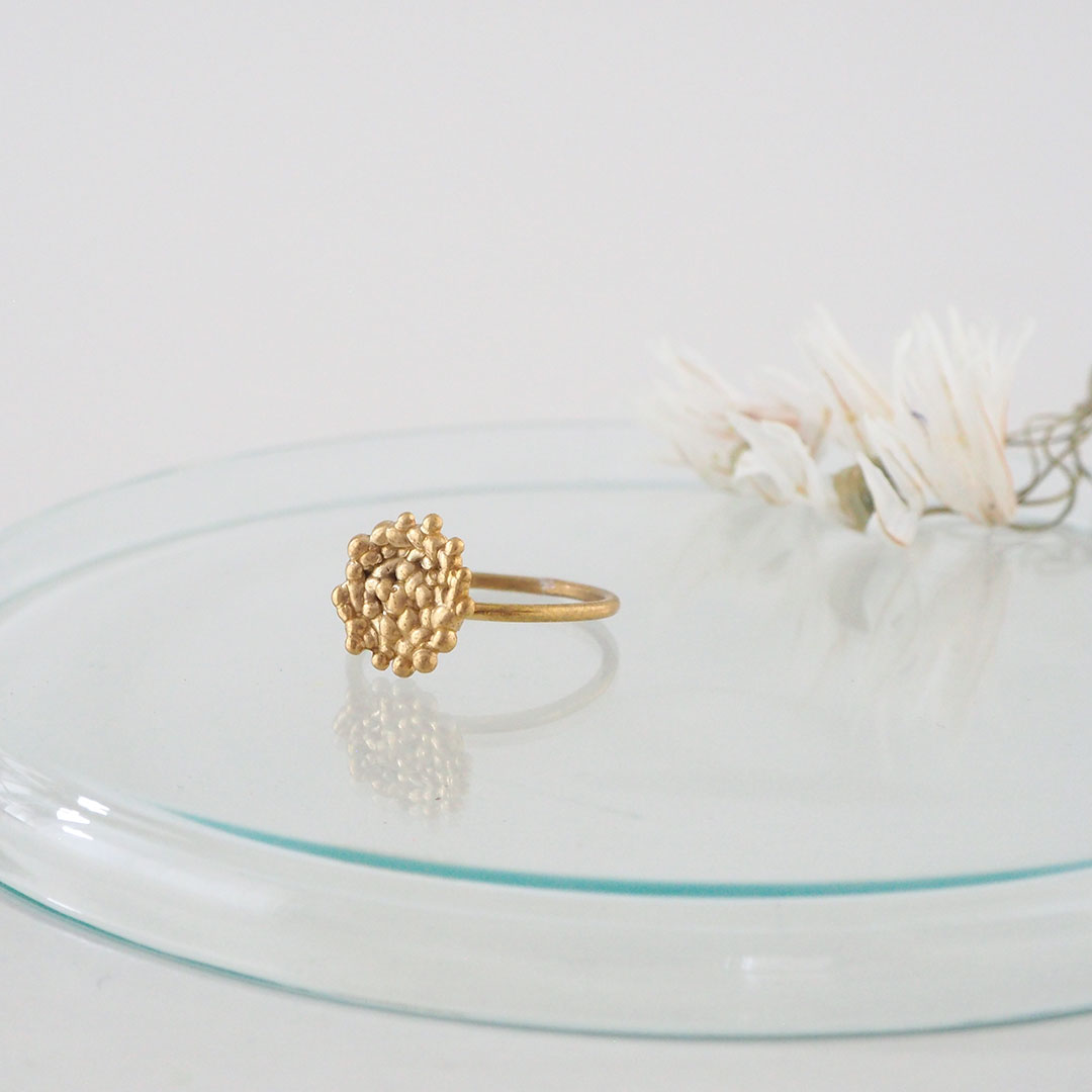 ���/���Ϥ�/��﫡ڼ���������