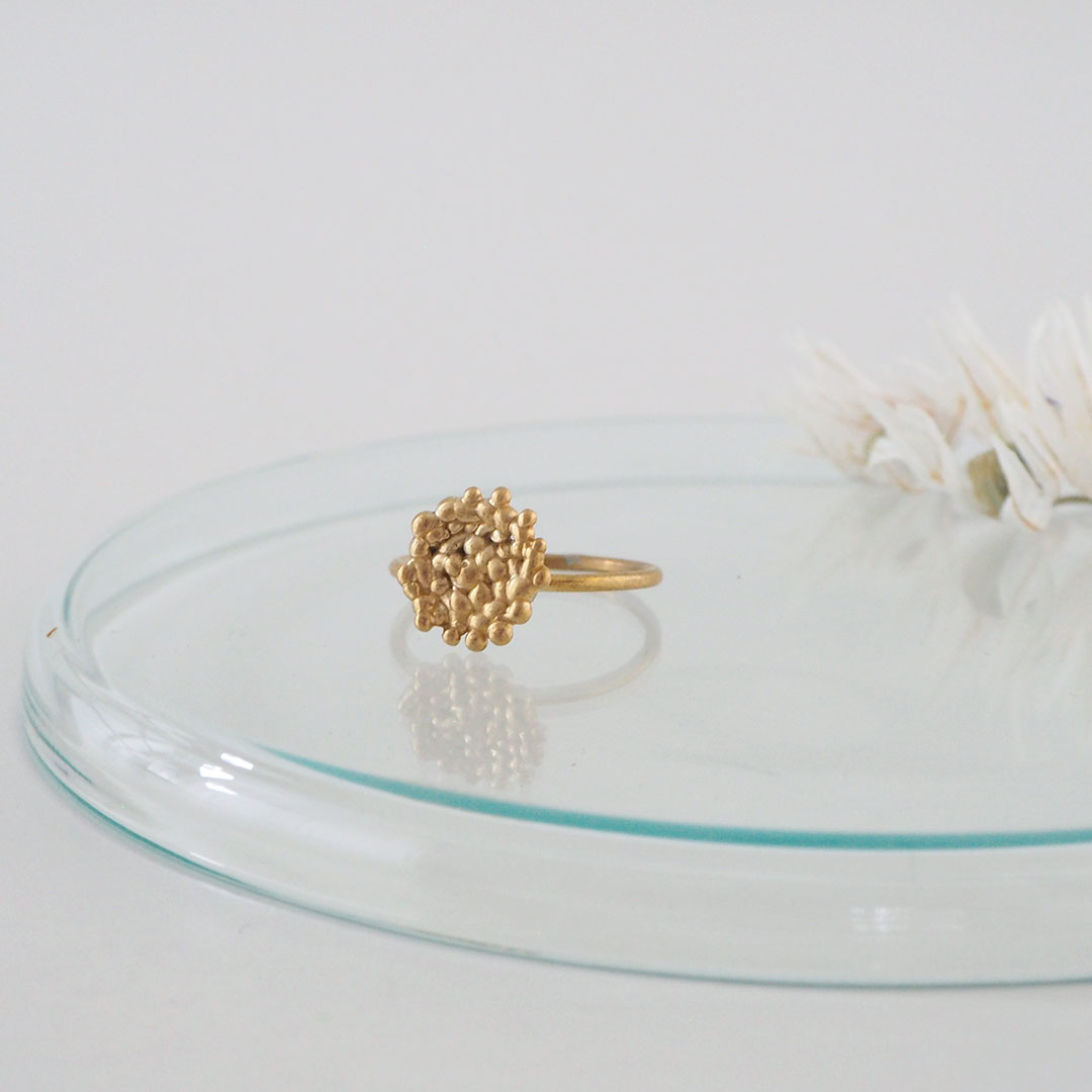 ���/���Ϥ�/��﫡ڼ���������