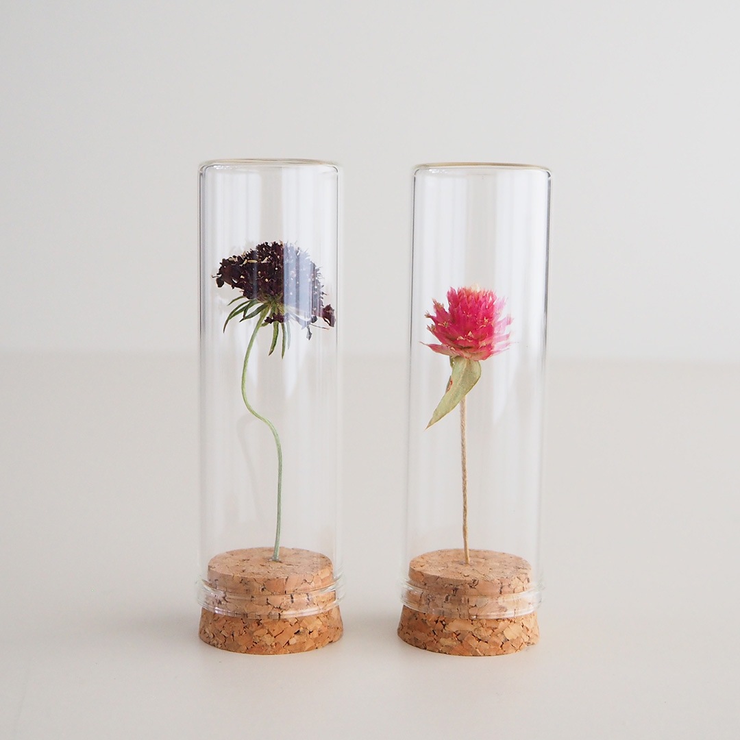 �֥ܥȥ�/��/���ޤ���2�ܥ��å�