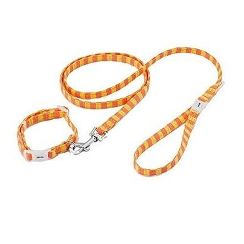 アドメイト パピーカラー＆リードセット SS オレンジ
