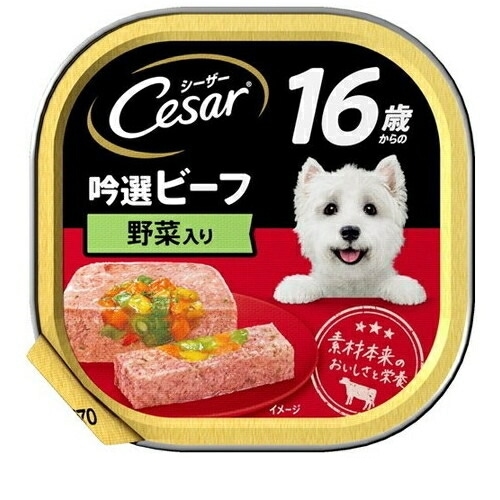 シーザー 16歳からの 吟選ビーフ 野菜入り 100g ◆賞味期限 2026年10月