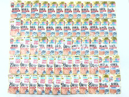 【訳あり】60個セット！シニア アイシア 健康缶 とろとろまぐろペースト 40g ◆賞味期限 2026年2月