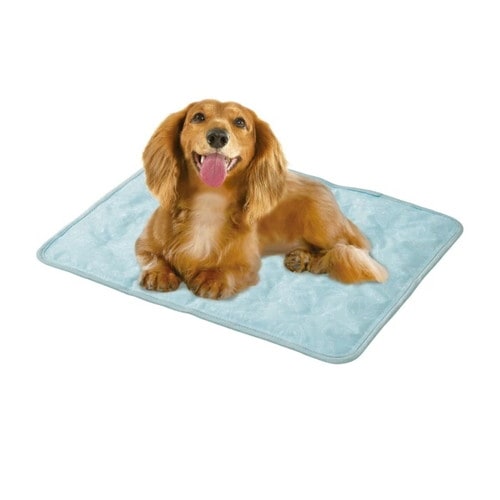 マルカン ブサ犬クールジェルマット Lサイズ