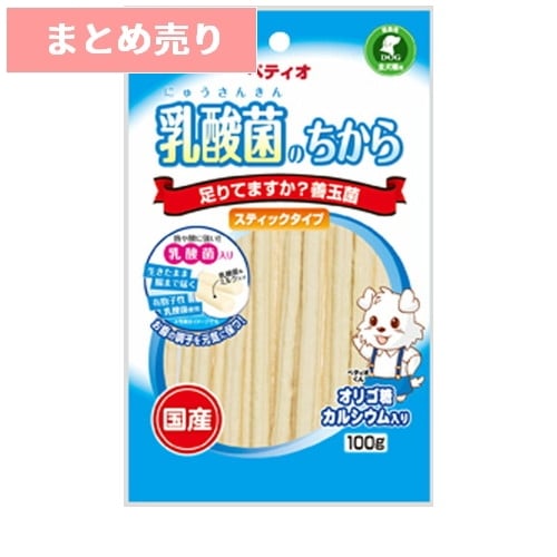★10個まとめ売り★乳酸菌のちから スティックタイプ 100g 国産 ◆賞味期限 2027年1月