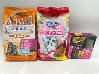 【訳あり】3個セット！こねこ オールウェル 銀のスプーン シーバ ◆賞味期限 2026年11月