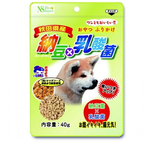 納豆X乳酸菌 40g ◆賞味期限 2026年8月