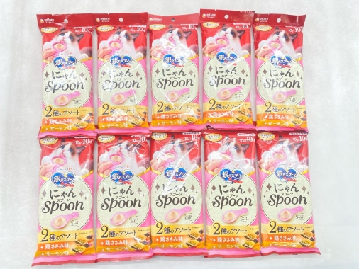 【訳あり】10個セット！銀のスプーン にゃんSpoon 100g 成猫 ◆賞味期限 2026年10月