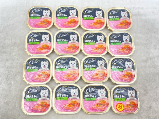 【訳あり】16個セット！シーザー 絹ささみ味 100g 成犬 ◆賞味期限 2026年10月