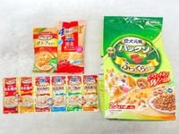 【訳あり】6個セット！愛犬元気 パックン ふっくら仕立て ポトフ仕立て 国産鶏肉 成犬 ◆賞味期限 2026年9月