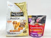 【訳あり】2個セット！シニア ベストバランス ミニチュア・ダックスフンド用 パウダフル チキン味 ◆賞味期限 2027年3月