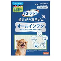 チューデント 歯みがき専用ガム オールインワン やわらかタイプ SS 65g(約28本入) ◆賞味期限 2026年11月