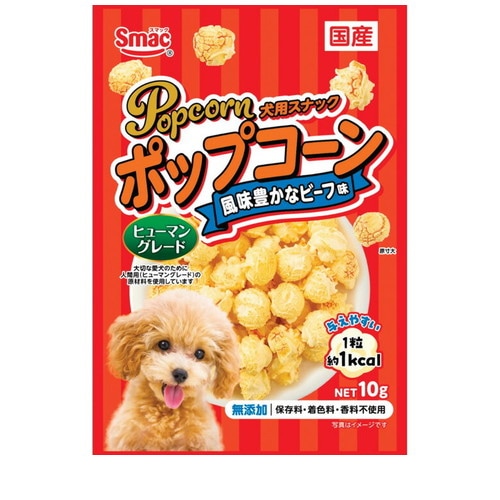 ポップコーン 風味豊かなビーフ味 10g ◆賞味期限 2027年1月