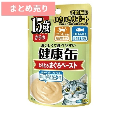 ★12個まとめ売り★アイシア 15歳からの健康缶パウチ とろとろまぐろペースト 40g ◆賞味期限 2028年3月