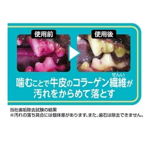 プラクト 歯みがきデンタルガム 小型犬 ハード 95g ◆賞味期限 2026年12月