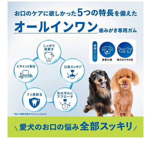 チューデント 歯みがき専用ガム オールインワン やわらかタイプ SS 65g(約28本入) ◆賞味期限 2026年11月