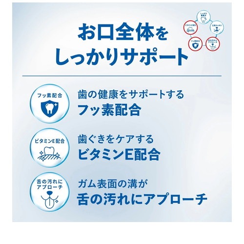チューデント 歯みがき専用ガム オールインワン やわらかタイプ SS 65g(約28本入) ◆賞味期限 2026年11月