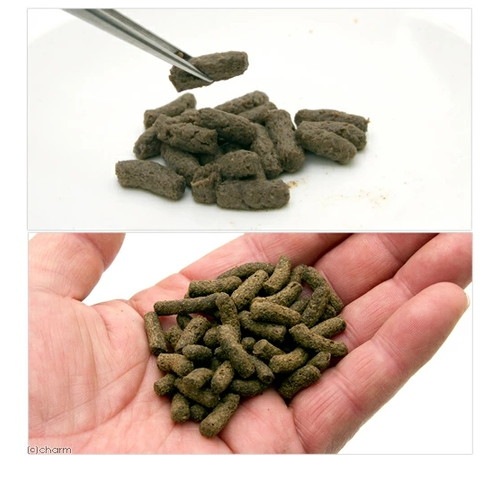 GEX レオパブレンドフード 120g ◆賞味期限 2026年2月