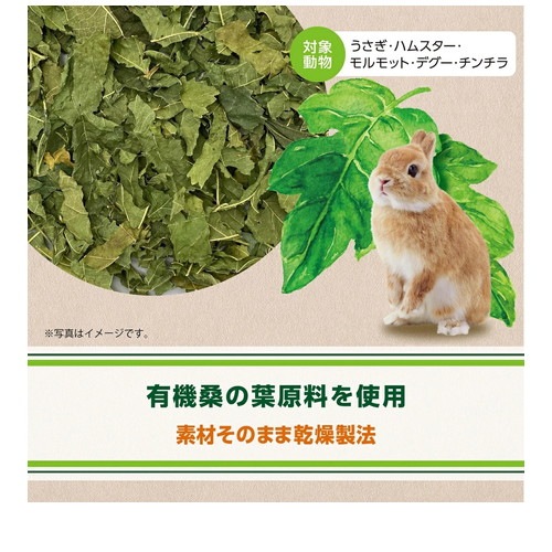 ヘルシーレシピ 桑の葉ぱりむしゃ 10g ◆賞味期限 2026年1月