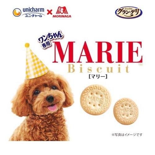グラン・デリ ワンちゃん専用 マリービスケット バナナミルク味 50g ◆賞味期限 2026年5月