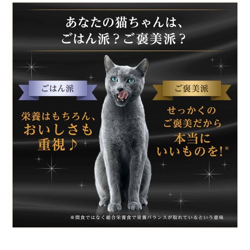 シーバ デュオ 贅沢シーフード味セレクション 200g(20g×10袋)SD23 ◆賞味期限 2027年7月
