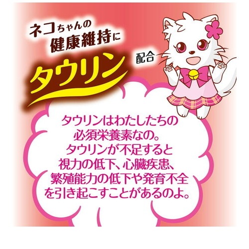 キャットSNACK 乾しカマ ほたて味 40g ◆賞味期限 2026年7月