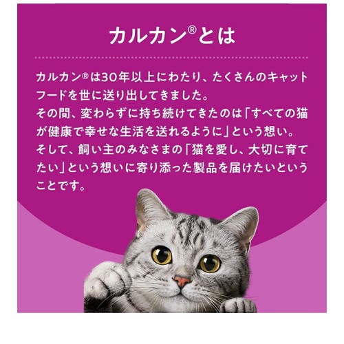 ★12個まとめ売り★カルカン パウチ 12ヵ月までの子ねこ用 お魚ミックス まぐろ・かつお・白身魚入り 60g ◆賞味期限 2027年11月